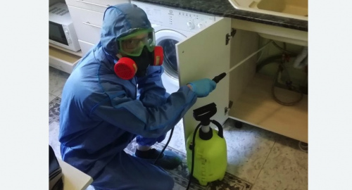 Уничтожение муравьев в квартире. Усть-Джегута