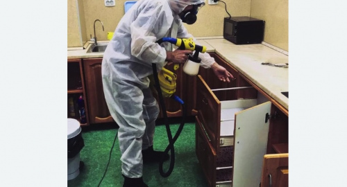 Дезинсекция квартиры. Усть-Джегута