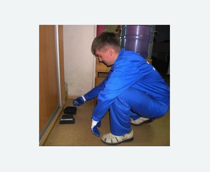 Дератизация крыс в Усть-Джегуте