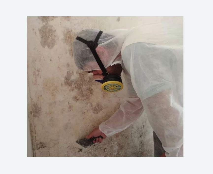 Обработка стен от плесени в Усть-Джегуте