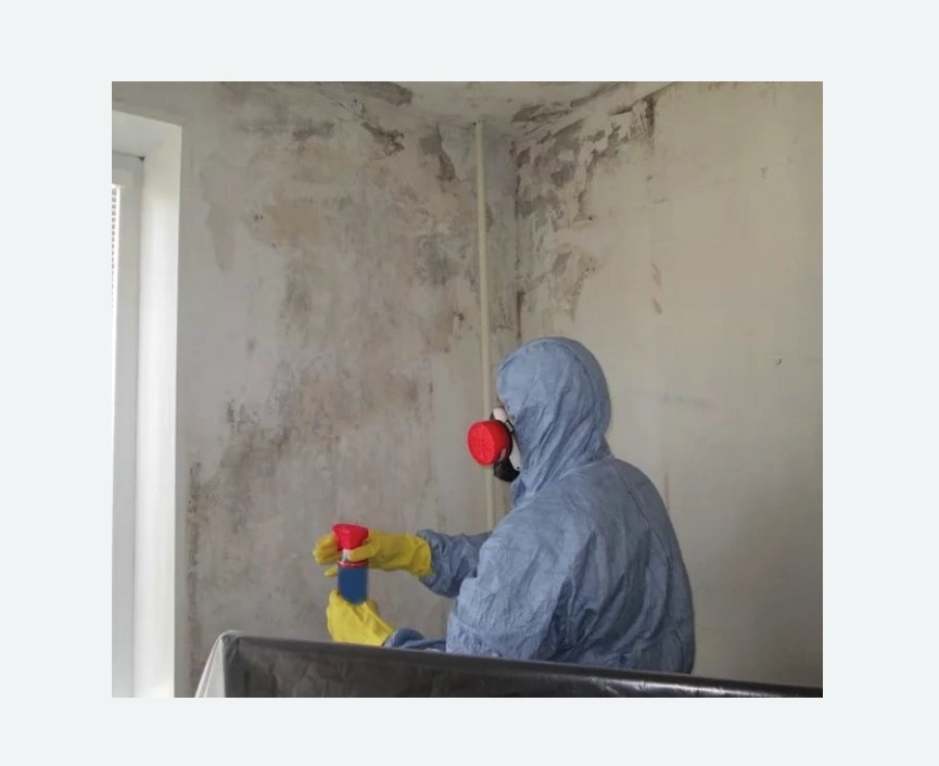 Удаление плесени в квартире в Усть-Джегуте