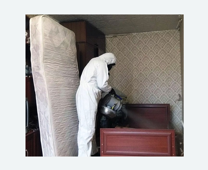 дезинфекция от клопов в Усть-Джегуте