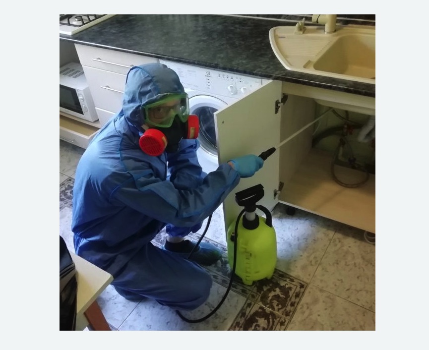 обработка от муравьев в квартире в Усть-Джегуте