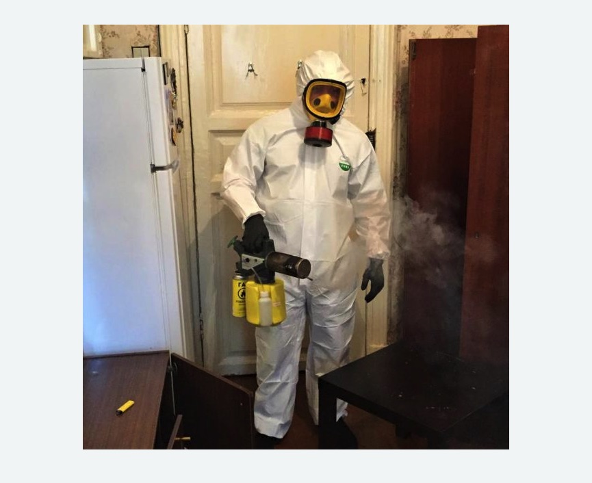 уничтожение муравьев в квартире в Усть-Джегуте